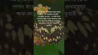 বিভিন্ন নেক আমলের ফযীলত প্রসঙ্গে 95