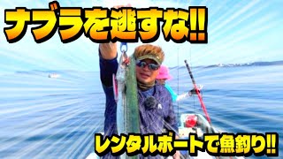 仮屋湾沖でレンタルボートで魚釣り!!10種目釣るまで帰れません!!【釣りライフ】