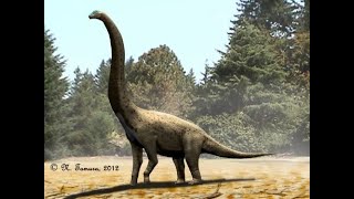 Prehistoric Information- Xenoposeidon