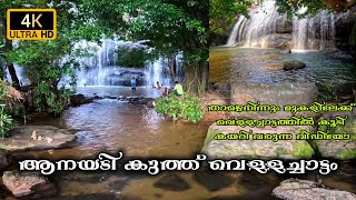 ആനയടി കുത്ത് വെള്ളച്ചാട്ടം | Anachadikuthu waterfall, Thommankuthu Idukki #waterfall #viswanathanmv