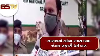 Junagadh : સાસણમાં લાંબા સમય બાદ જંગલ સફારી થઈ શરુ | Gstv Gujarati News