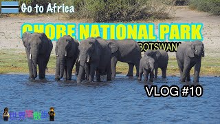 アフリカの旅１０ボツワナサファリ、チョベ国立公園の象の群れに感動‼︎【Go to Afirca Vol.10 Zambia Chobe National Park】