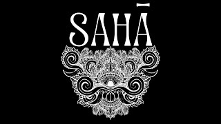 SAHA 2024 11 13