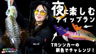 【ティップラン小浜】夜に楽しむティップランゲーム《ニュータックルリポート》