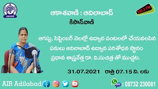 ఆగస్టు, సెప్టెంబర్ నెలల్లో ఉద్యాన పంటలలో చేయవలసిన పనులు || డా.వి.సుచిత్ర