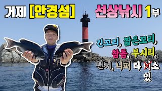 거제 [ 안경섬 ] 선상낚시 1부 /긴꼬리벵에돔/벵에돔/참돔/돌돔/부시리