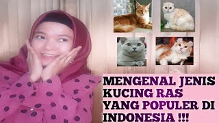 MENGENAL JENIS KUCING RAS YANG POPULER DI INDONESIA || APA SAJA YAH???