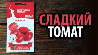 Семена томата Новичок 🍅 Сладкий томат!