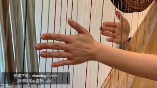 【小杏仁竖琴课】Xingni‘s harp Lesson 5 Long Long Ago（竖琴自学教程）