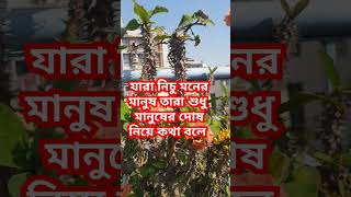 যারা নিচু মনের মানুষ তারা মানুষের দোষ নিয়ে কথা বলে #mizanurrahmanazhari #islamicvideo #islamic #waz