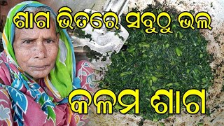 ସୁଆଦିଆ କଳମ ଶାଗ ଭାଜିଲେ ଜେଜେମା | kalama saga bhaja | Odia authentic recipe | Village cooking