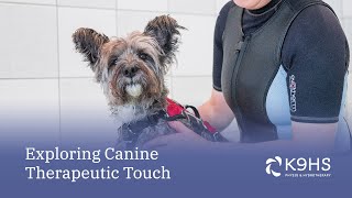 Canine Therapies: Therapeutic Touch