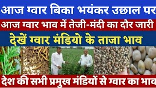 ग्वार का ताजा भाव, 14 फरवरी 2025 आज ग्वार में कितनी आई तेजी देखें भाव| gwar ka bhav,guar seed price