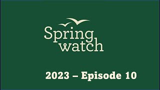 Springwatch 2023   Episode 10