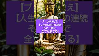 【ブッダの教え・人生は選択の連続、その一瞬で全てが決まる】💚 #ブッダ #仏教 #ブッダの教え#ブッダの言葉  #shorts
