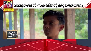 ആനയും കാട്ടുപോത്തും സ്കൂൾ മുറ്റത്തെത്തും; വന്യജീവി ഭീതിയില്‍ എങ്ങനെ പഠിക്കുമെന്ന് കുട്ടികൾ