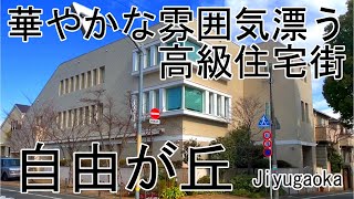 【自由が丘】緑と豪邸が美しく調和！東京を代表する洗練された高級住宅街