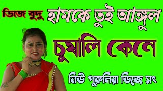 Hamke Tui Aangul Chusali kene DJ johir mix হামকে তুই আঙ্গুল চুষালি কেনে