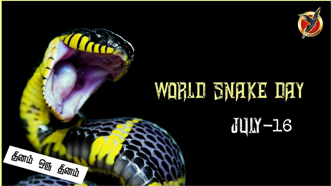 World Snake Day - July 16 | தினம் ஒரு தினம் | Padaippu TV - YouTube