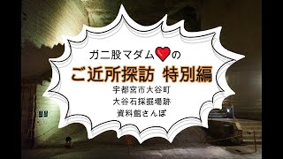 探訪特別編  栃木の至宝「大谷石採掘場跡」に潜ってみる