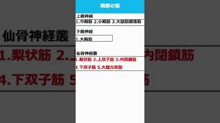 殿部の筋を覚えるコツ #shorts #理学療法士 #作業療法士 #国家試験 #基礎医学  #解剖学 #運動学