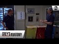 Alex and Link Reconcile - Grey’s Anatomy Season 15 Episode 5