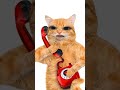 catfunny funny catvideos 😂😺☎️