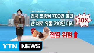 [쏙쏙] 오락가락 정부 대책 피해 키웠다 / YTN (Yes! Top News)