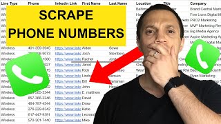 How To SCRAPE High Quality Phone Numbers (FREE & Paid)