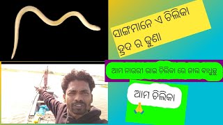 🙏 ଆମ ଚିଲିକା Chilika hurda @JITENDRAofficialVlogOdia