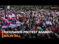 Thousands protest against Maori Bill and more | DD India News Hour