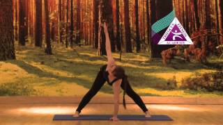 Yoga - Parivritta Prasarita Padottanasana (Revolved Wide Leg Stretch Pose)