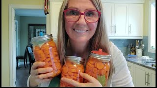 Fermented Carrots | Tannin | Probiotics for Gut Health