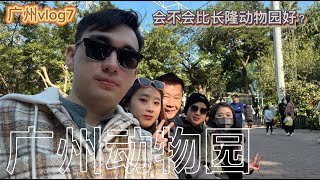 广州vlog7 广州动物园还是长隆？先看广州动物园好玩吗？