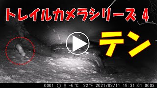 20210211トレイルカメラシリーズ4～テン