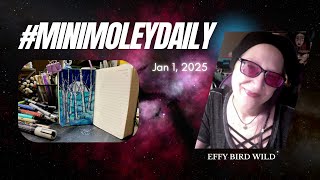 #minimoleydaily - January 1st, 2025