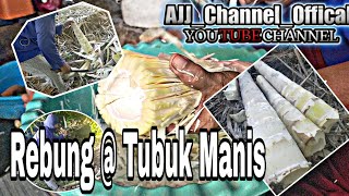 Rebung @ Tubuk Manis | Santai dikebun