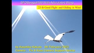 サーボ駆動カモメ型羽ばたき機 SFOSeagull100 32g with Articulated wing : 23 th Good Flight and Gliding in Wind