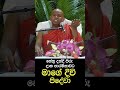 නේත්‍රා දන්දී පිරූ දාන පාරමිතාව🍃🙏 venerable welimada saddaseela thero shorts