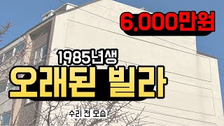 6,000만 원짜리 오래된 빌라를 샀습니다 🏠 18평 빌라에서 시작하는 강릉살이