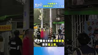 月輪鸚鵡飛了 誤觸電箱爆炸 2853戶停電 #shorts｜TVBS新聞