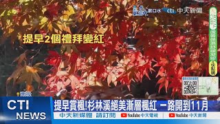 【每日必看】提早賞楓!杉林溪絕美漸層楓紅 福壽山萬象繽紛如畫 20241018