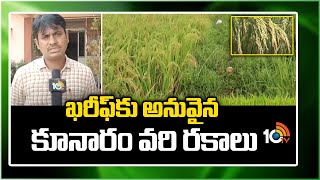 ఖరీఫ్‍కు అనువైన కూనారం వరి రకాలు |Varieties of Kunaram rice suitable for Kharif |Matti Manishi |10TV