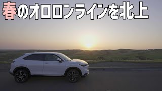 【日本最北の桜の名所】オロロンラインを北上して稚内へ向かう車中泊ドライブ旅