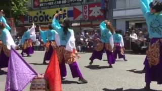 信州駒ケ根 縁舞連 第3回 NAGANO 善光寺よさこい