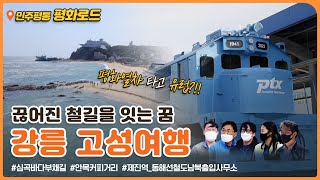 평화통일로드ㅣ강릉-고성여행 _ 강릉 해안탐방로와 커피거리, 고성 제진역까지!