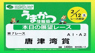 さがけいばの予想チャンネル！【うまかつ情報局 2/12日 レース展望】唐津湾賞　A1.A2