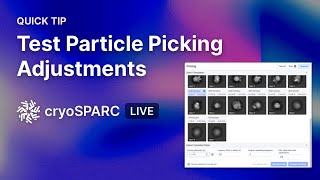 CryoSPARC Live Tip: Test Particle Picking Adjustments