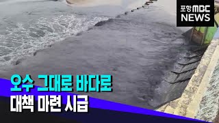 오수 그대로 바다로..대책 마련 시급 (2023.04.18/뉴스데스크/포항MBC)