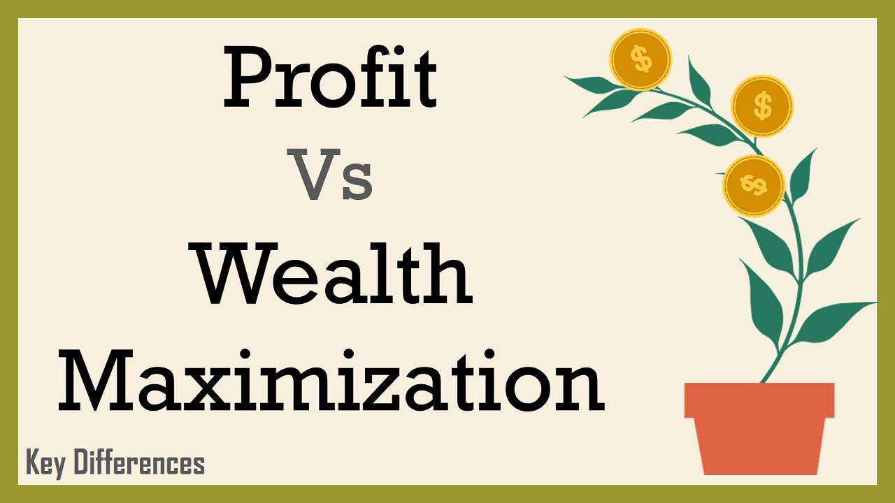 Profit Maximization Vs Wealth Maximization: Difference Between Them ...